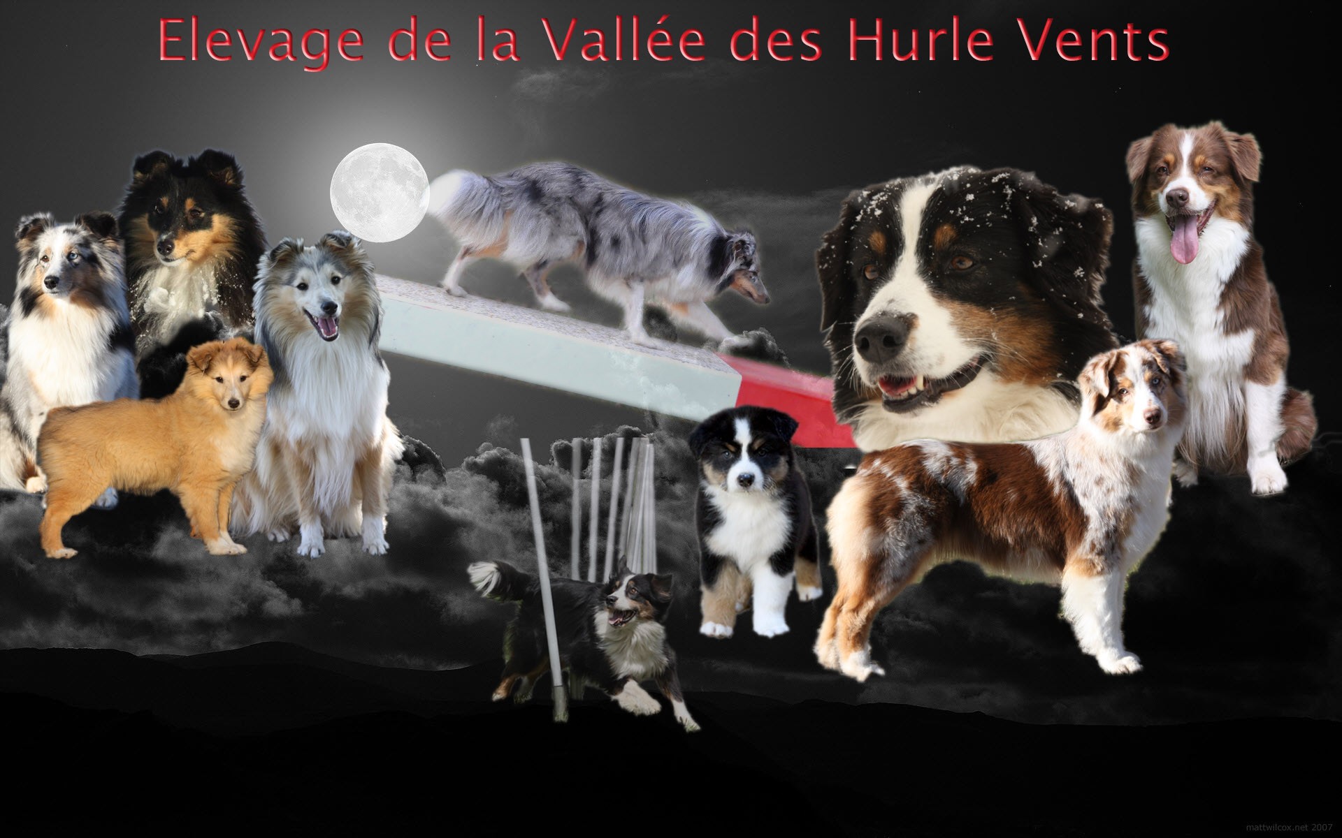 De La Vallée Des Hurlevents